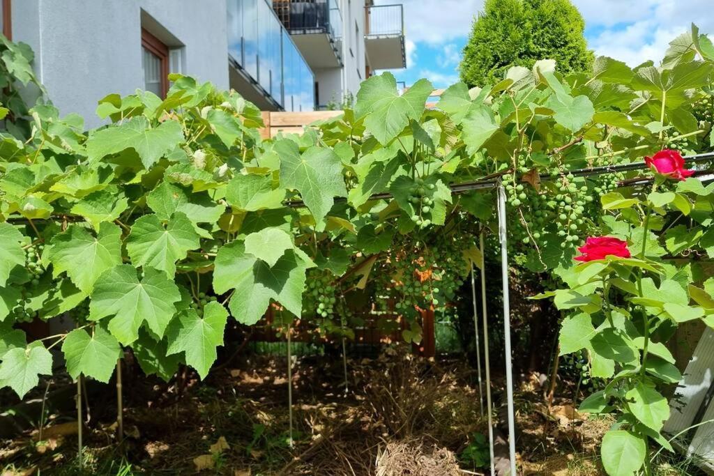 Luxury Garden Apartment Warszawa Zewnętrze zdjęcie